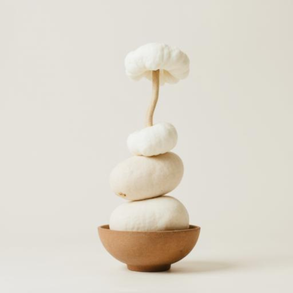 anti aging herbal remedies highlighting marshmallow root for deep hydration and herbal extracts long-term skin hydration effectiveness for smoother youthful skin