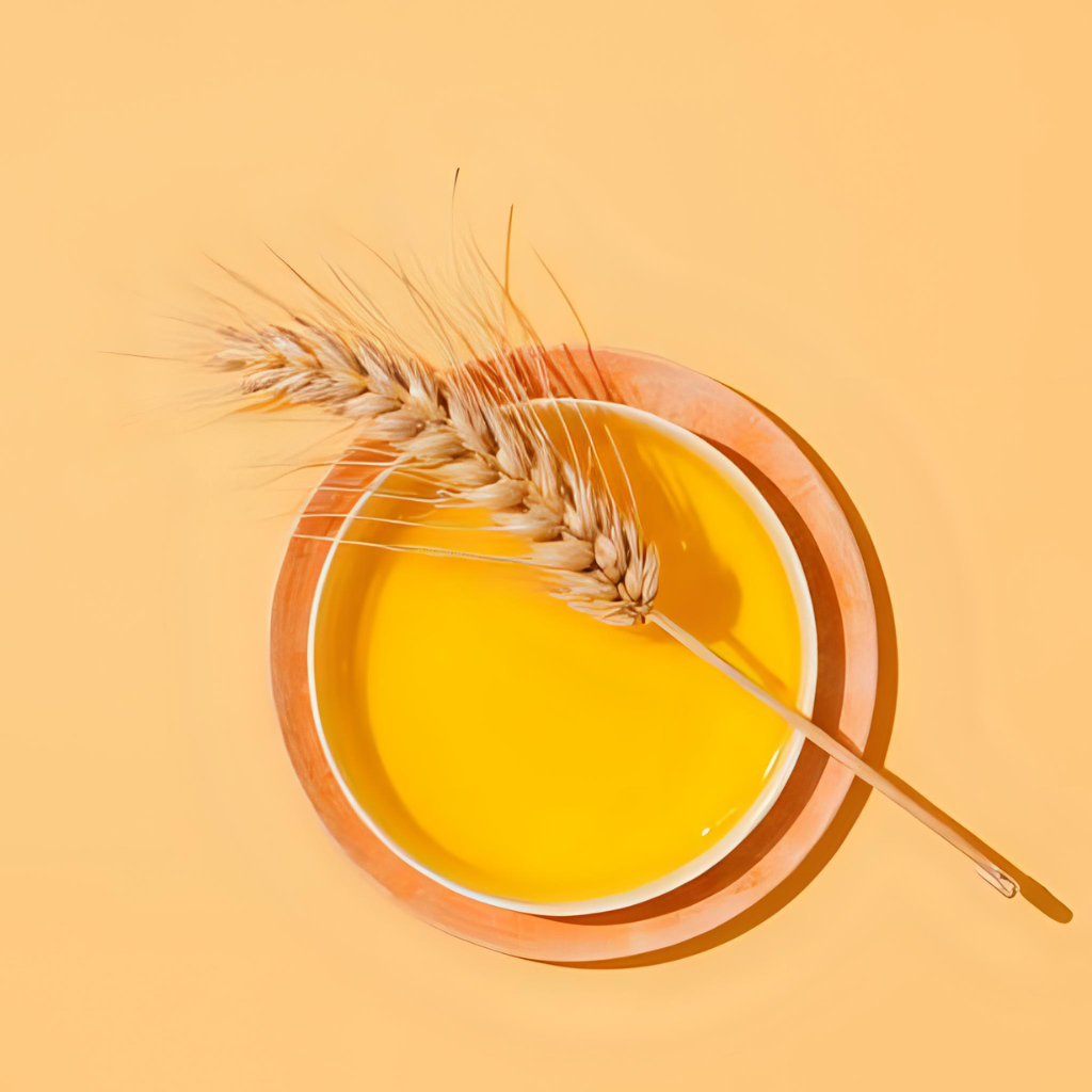 Close-up image of wheat germ oil bottle showing its rich Vitamin E content — highlighting wheat germ oil skincare benefits and antioxidant properties for glowing skin.
