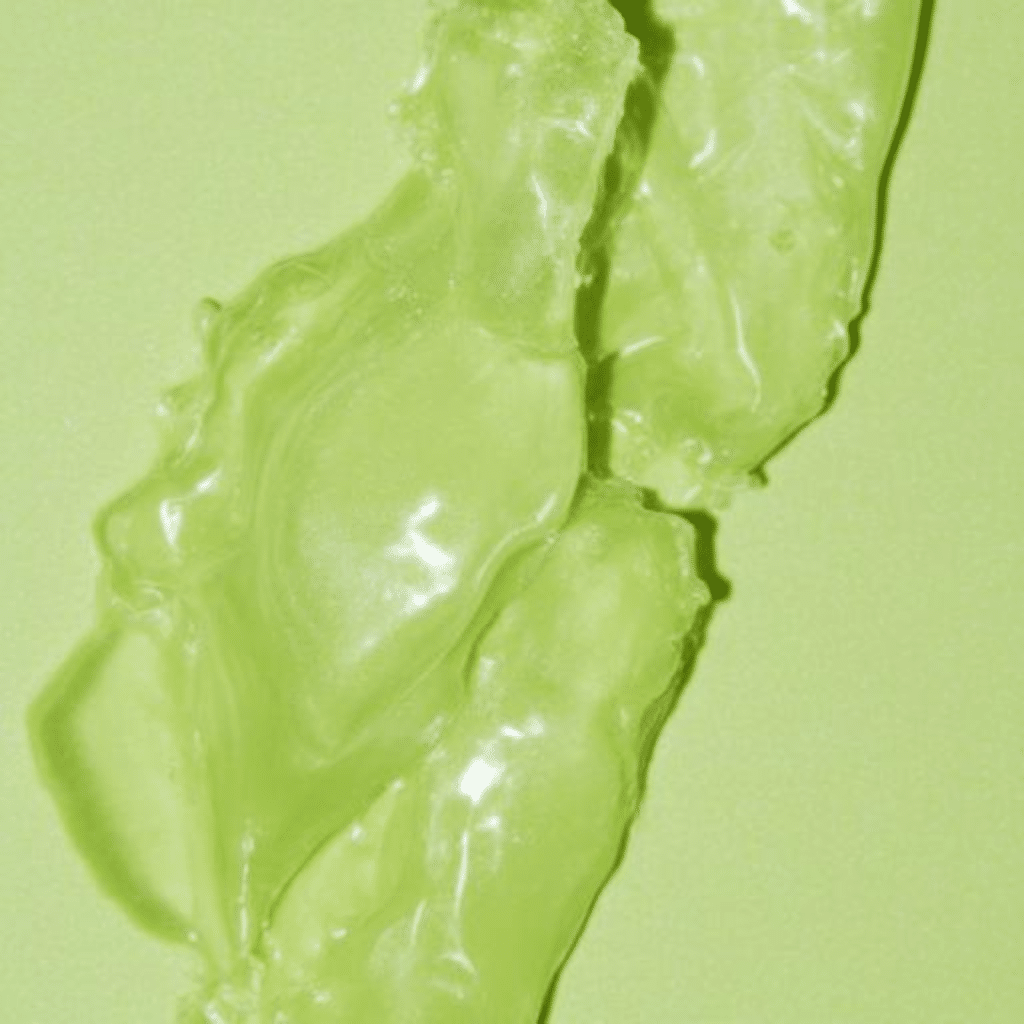 Centella Asiatica extract calming redness and irritation in a korean skincare routine for dry skin.